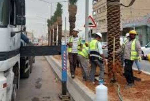 Princess Nourah University